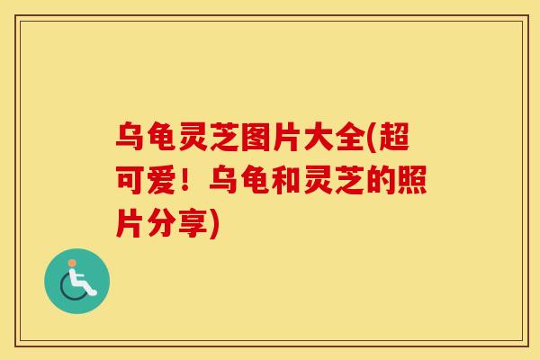 乌龟灵芝图片大全(超可爱!乌龟和灵芝的照片分享)