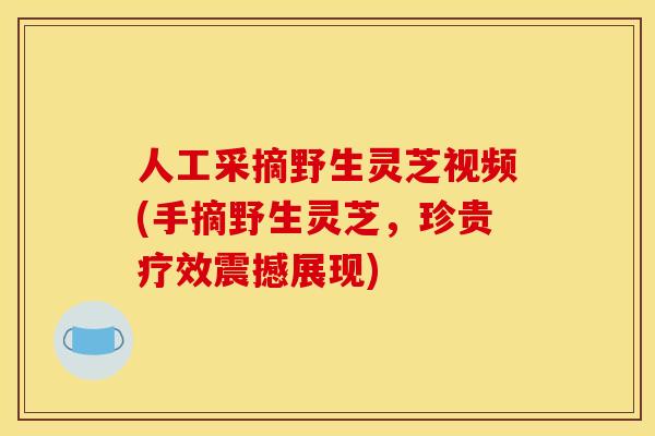人工采摘野生灵芝视频(手摘野生灵芝,珍贵疗效震撼展现)