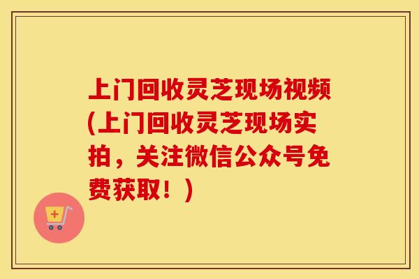 上门回收灵芝现场视频(上门回收灵芝现场实拍,关注微信公众号免费获取!)