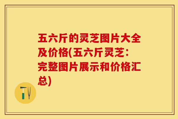 五六斤的灵芝图片大全及价格(五六斤灵芝:完整图片展示和价格汇总)