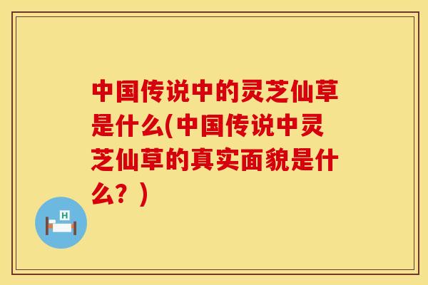 中国传说中的灵芝仙草是什么(中国传说中灵芝仙草的真实面貌是什么?)