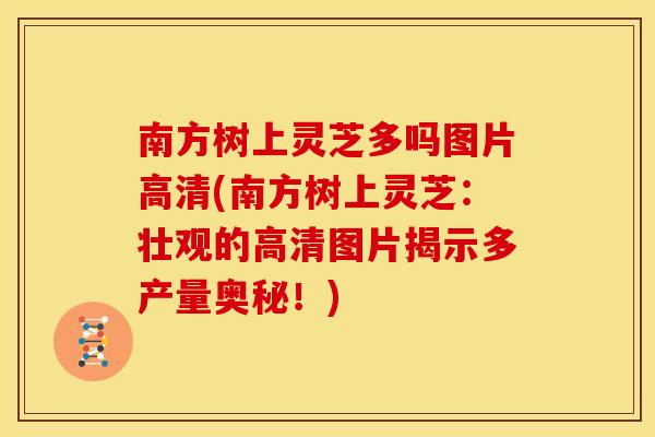 南方树上灵芝多吗图片高清(南方树上灵芝：壮观的高清图片揭示多产量奥秘！)