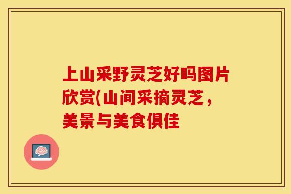 上山采野灵芝好吗图片欣赏(山间采摘灵芝,美景与美食俱佳