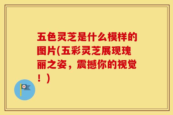 五色灵芝是什么模样的图片(五彩灵芝展现瑰丽之姿,震撼你的视觉!)