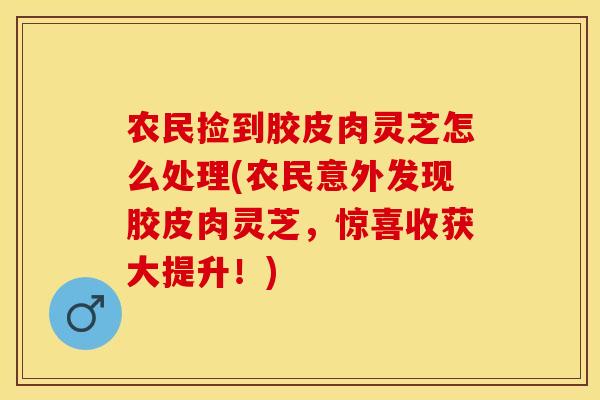 农民捡到胶皮肉灵芝怎么处理(农民意外发现胶皮肉灵芝,惊喜收获大提升!)