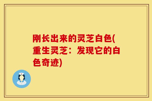 刚长出来的灵芝白色(重生灵芝:发现它的白色奇迹)