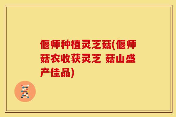 偃师种植灵芝菇(偃师菇农收获灵芝 菇山盛产佳品)