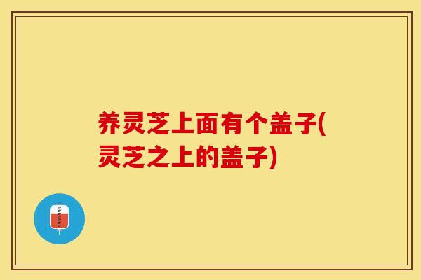 养灵芝上面有个盖子(灵芝之上的盖子)