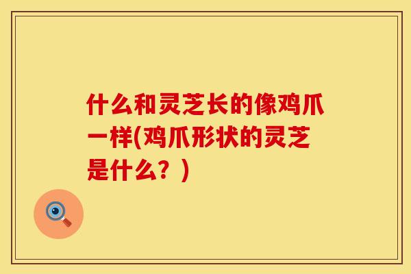 什么和灵芝长的像鸡爪一样(鸡爪形状的灵芝是什么？)