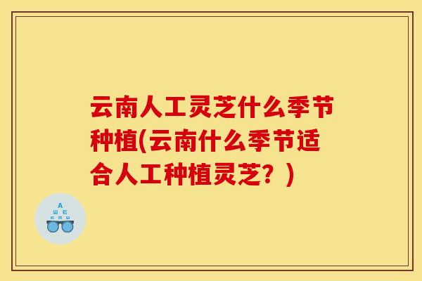 云南人工灵芝什么季节种植(云南什么季节适合人工种植灵芝?)