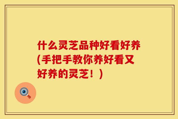什么灵芝品种好看好养(手把手教你养好看又好养的灵芝！)