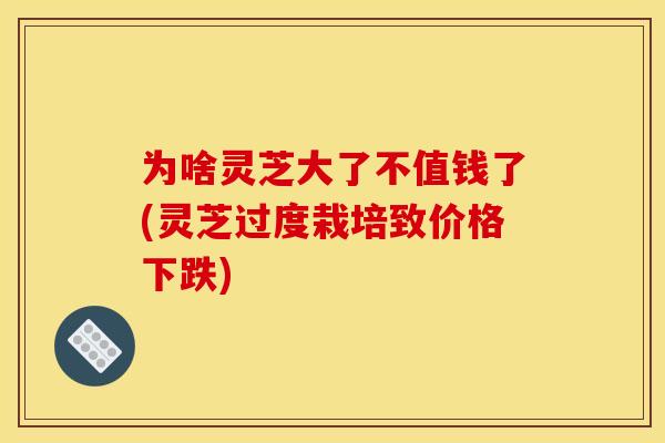 为啥灵芝大了不值钱了(灵芝过度栽培致价格下跌)