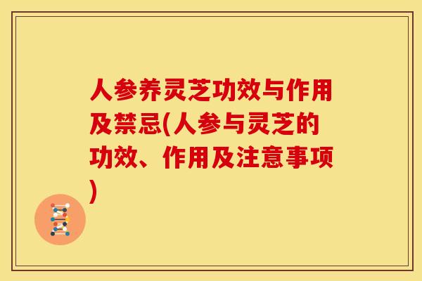 人参养灵芝功效与作用及禁忌(人参与灵芝的功效、作用及注意事项)