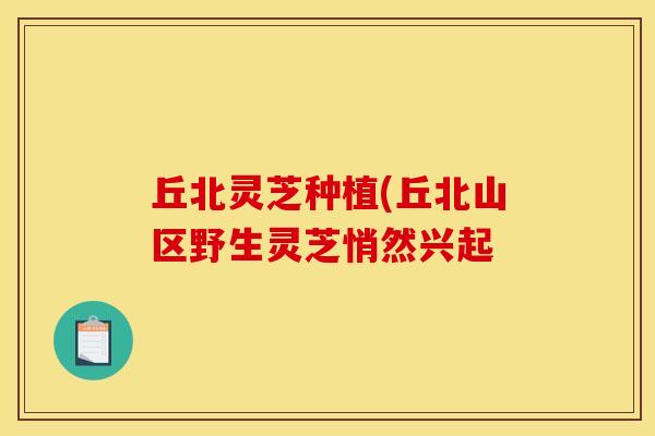 丘北灵芝种植(丘北山区野生灵芝悄然兴起