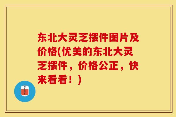 东北大灵芝摆件图片及价格(优美的东北大灵芝摆件，价格公正，快来看看！)