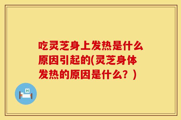 吃灵芝身上发热是什么原因引起的(灵芝身体发热的原因是什么?)