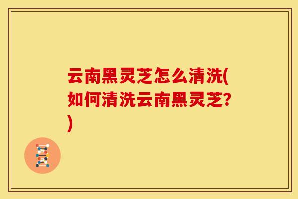 云南黑灵芝怎么清洗(如何清洗云南黑灵芝？)