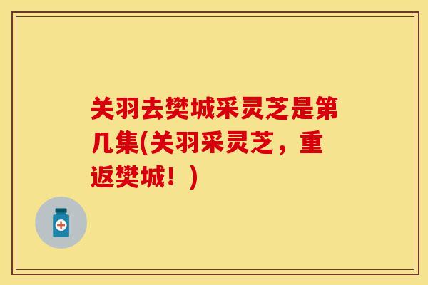 关羽去樊城采灵芝是第几集(关羽采灵芝,重返樊城!)