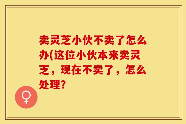 卖灵芝小伙不卖了怎么办(这位小伙本来卖灵芝,现在不卖了,怎么处理?