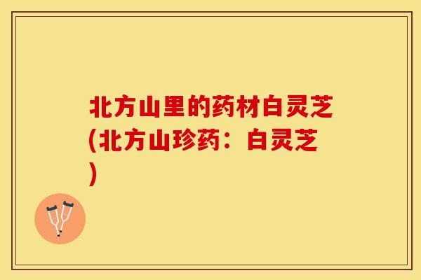 北方山里的药材白灵芝(北方山珍药：白灵芝)