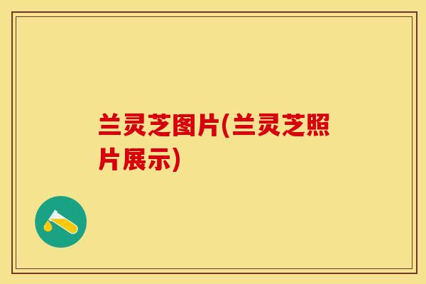 兰灵芝图片(兰灵芝照片展示)