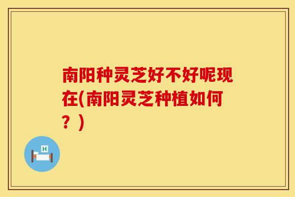 南阳种灵芝好不好呢现在(南阳灵芝种植如何？)