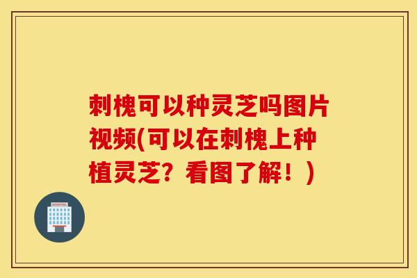 刺槐可以种灵芝吗图片视频(可以在刺槐上种植灵芝?看图了解!)