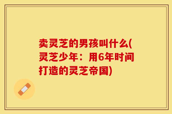 卖灵芝的男孩叫什么(灵芝少年：用6年时间打造的灵芝帝国)
