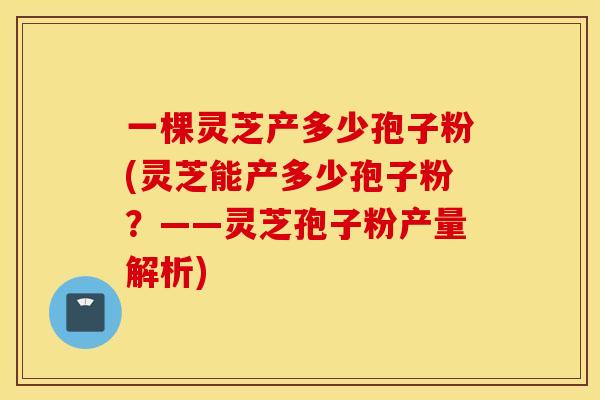 一棵灵芝产多少孢子粉(灵芝能产多少孢子粉?——灵芝孢子粉产量解析)
