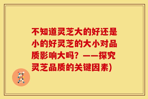 不知道灵芝大的好还是小的好灵芝的大小对品质影响大吗？——探究灵芝品质的关键因素)