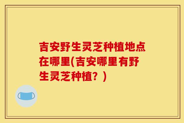 吉安野生灵芝种植地点在哪里(吉安哪里有野生灵芝种植？)