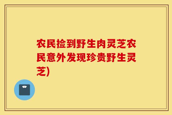 农民捡到野生肉灵芝农民意外发现珍贵野生灵芝)