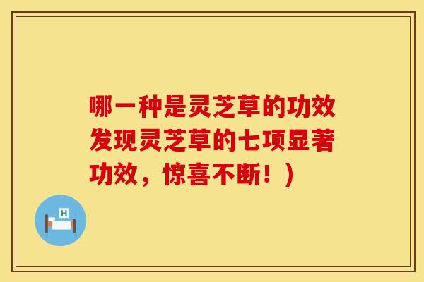 哪一种是灵芝草的功效发现灵芝草的七项显著功效,惊喜不断!)