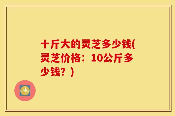 十斤大的灵芝多少钱(灵芝价格:10公斤多少钱?)