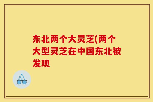 东北两个大灵芝(两个大型灵芝在中国东北被发现