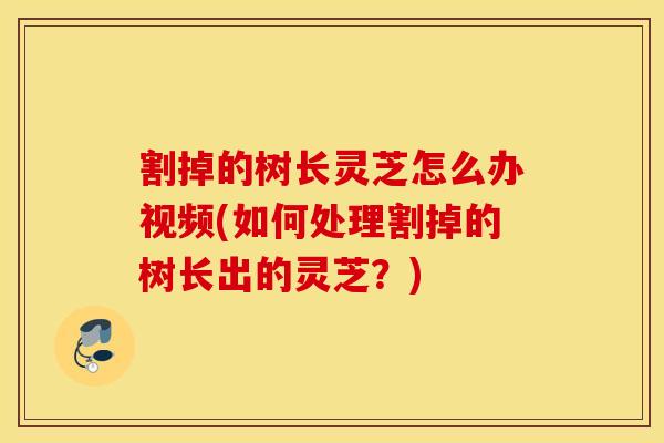 割掉的树长灵芝怎么办视频(如何处理割掉的树长出的灵芝?)