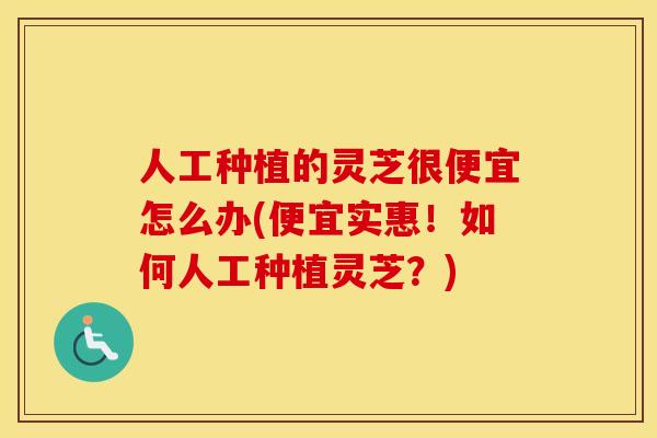 人工种植的灵芝很便宜怎么办(便宜实惠!如何人工种植灵芝?)