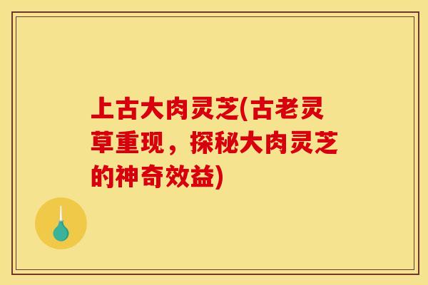 上古大肉灵芝(古老灵草重现,探秘大肉灵芝的神奇效益)