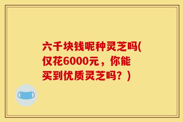 六千块钱呢种灵芝吗(仅花6000元,你能买到优质灵芝吗?)