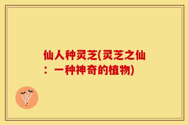 仙人种灵芝(灵芝之仙：一种神奇的植物)