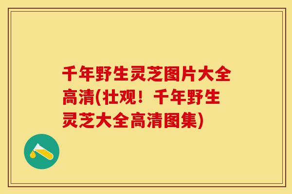 千年野生灵芝图片大全高清(壮观！千年野生灵芝大全高清图集)