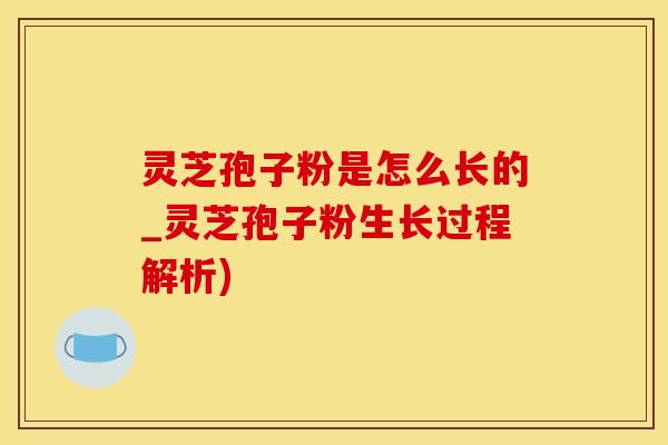 灵芝孢子粉是怎么长的_灵芝孢子粉生长过程解析)