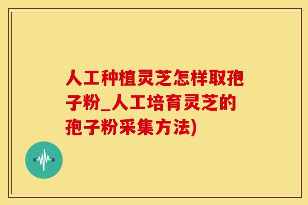 人工种植灵芝怎样取孢子粉_人工培育灵芝的孢子粉采集方法)