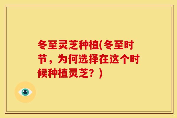 冬至灵芝种植(冬至时节，为何选择在这个时候种植灵芝？)