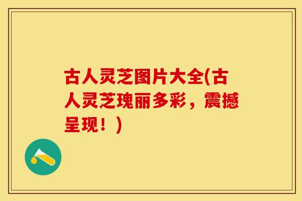 古人灵芝图片大全(古人灵芝瑰丽多彩，震撼呈现！)