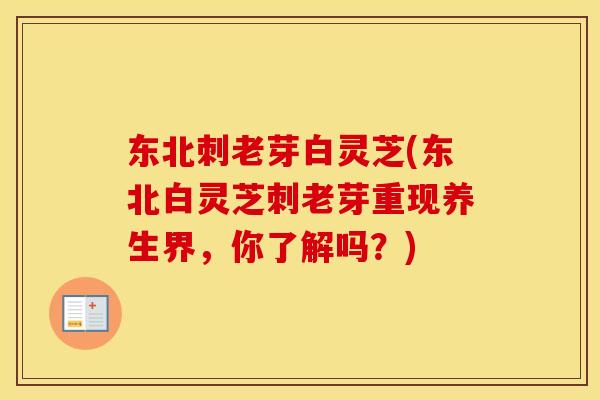 东北刺老芽白灵芝(东北白灵芝刺老芽重现养生界,你了解吗?)