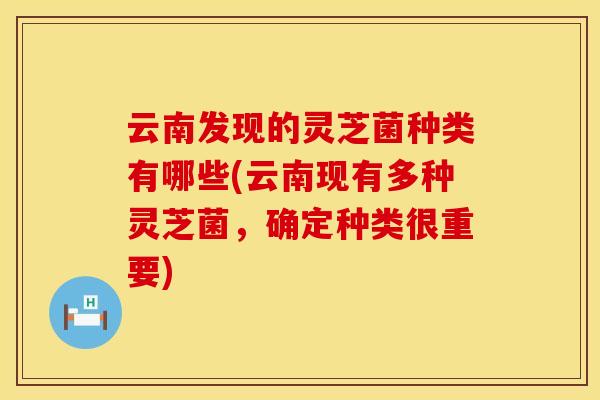 云南发现的灵芝菌种类有哪些(云南现有多种灵芝菌,确定种类很重要)