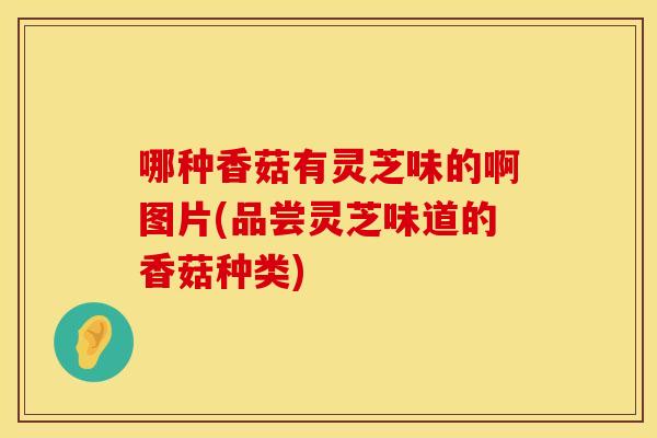 哪种香菇有灵芝味的啊图片(品尝灵芝味道的香菇种类)