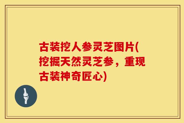 古装挖人参灵芝图片(挖掘天然灵芝参,重现古装神奇匠心)