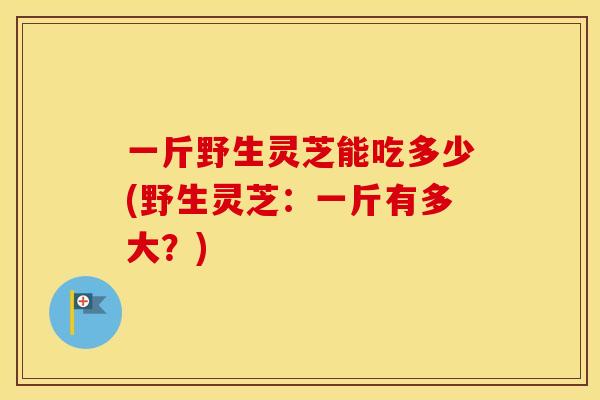 一斤野生灵芝能吃多少(野生灵芝:一斤有多大?)